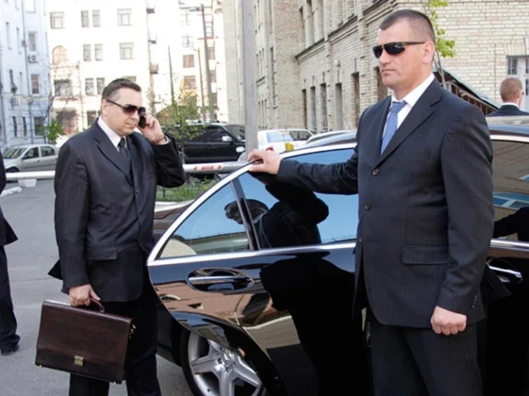 Protección y Resguardo de PMI